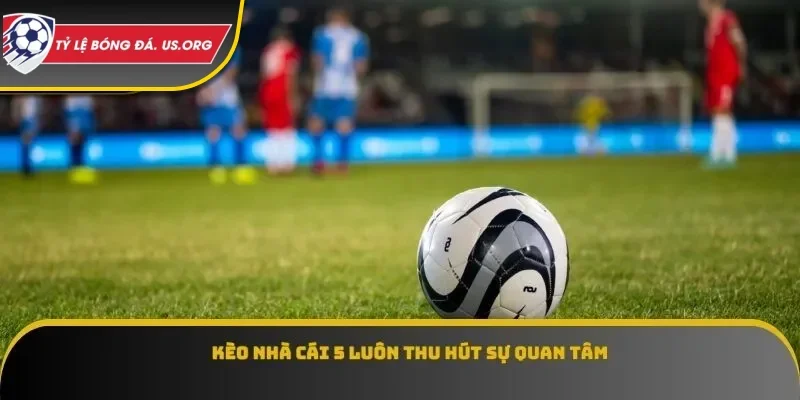 Kèo nhà cái 5 luôn thu hút sự quan tâm